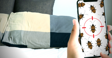 How To Know If You Have Bed Bugs In Your House